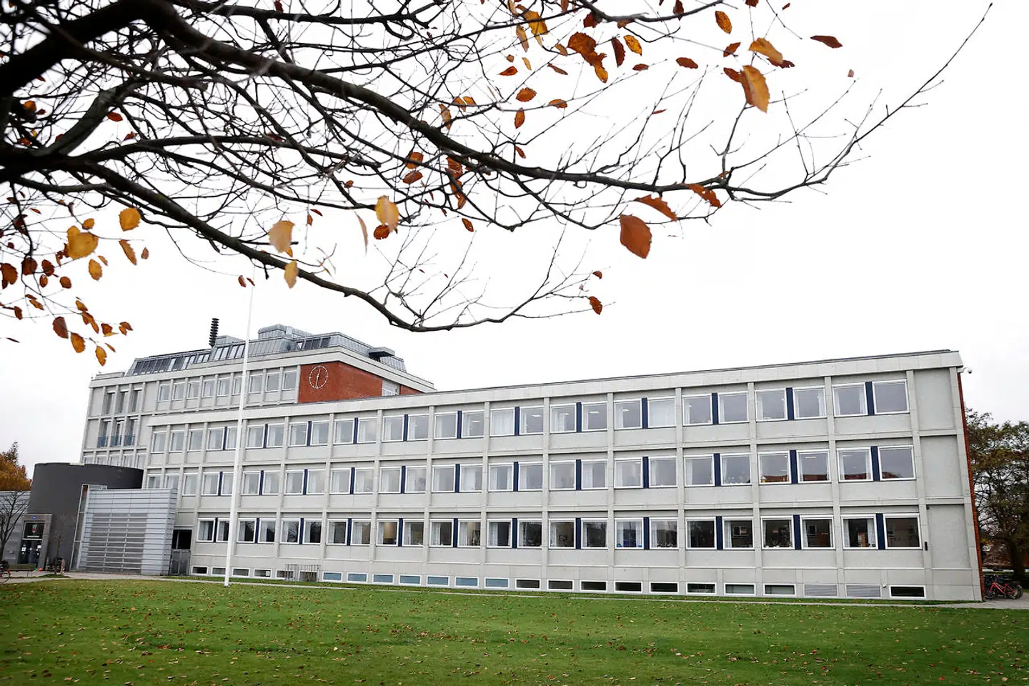 Kommunalbestyrelsen i Hvidovre skal her tirsdag aften afholde møde, hvor Rådhusets politikere skal tage stilling til et forslag om at droppe brugen af »formand« og i stedet lade det være op til den enkelte, hvad man vil tituleres som.