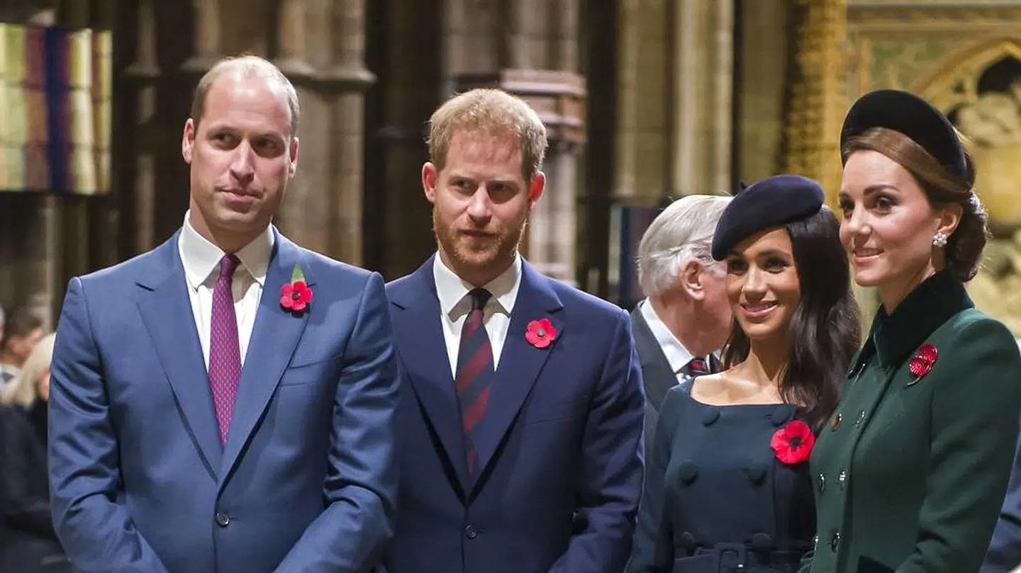 Ifølge en rutineret dokumentarist skulle der være kold luft mellem prins William og prins Harry.