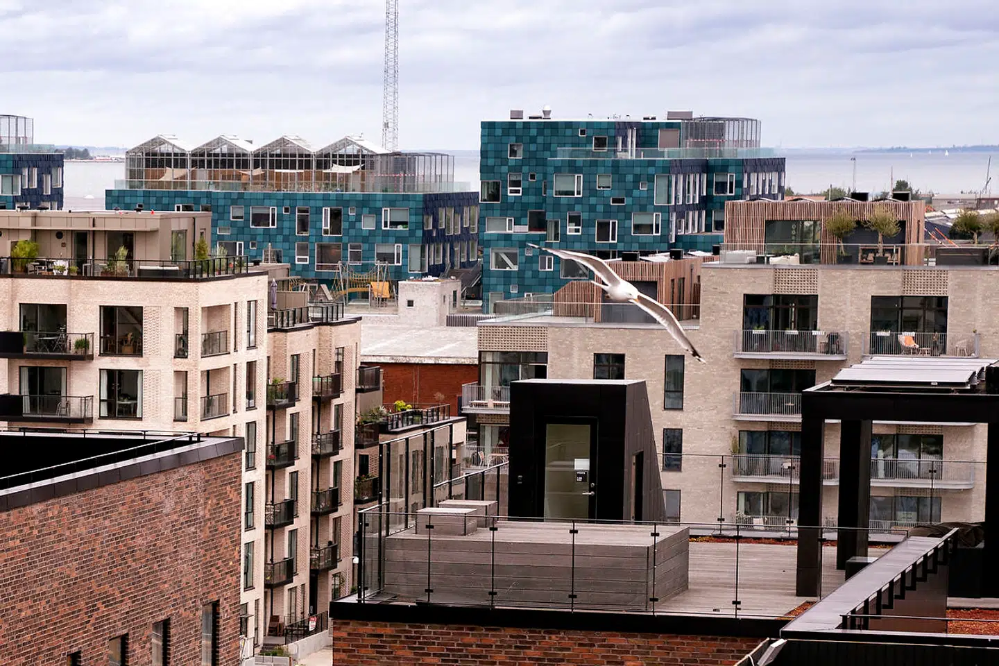 Har man finansieret boligen med et realkreditlån, der får ny rente hvert halve år, skal man indstille sig på, at ydelsen kommer til at stige.