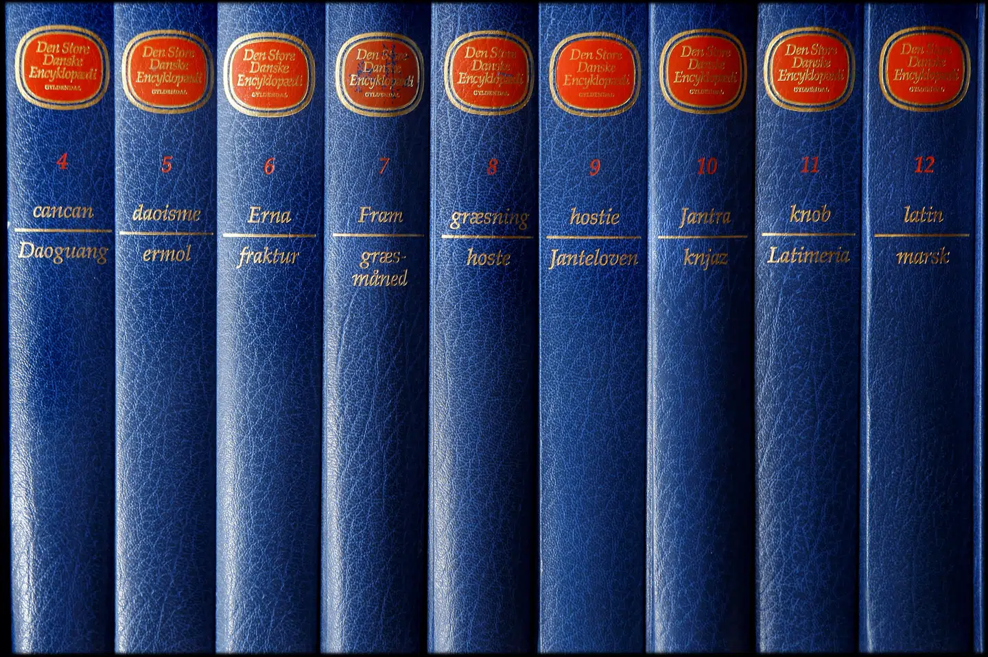 Det forventes, at en fuldt opdateret udgave af Den Store Danske samt størstedelen af den ny udgave af Trap Danmark vil være tilgængelig på et tidspunkt i 2020. (Arkivfoto) Bax Lindhardt/Ritzau Scanpix