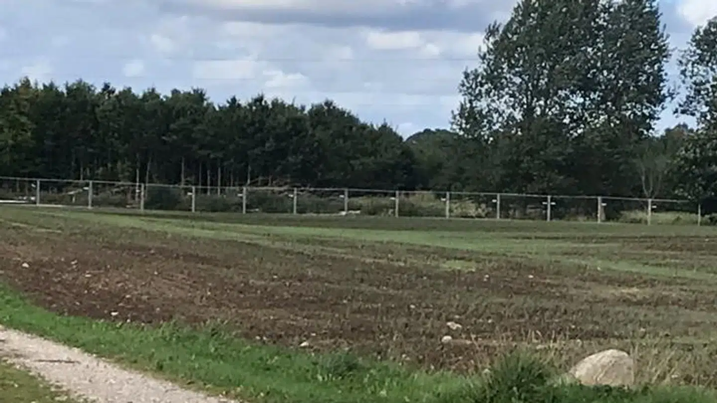 Per Lauritsen har opstillet et to meter højt hegn rundt om sin matrikel for at forhindre folk i at bruge skovstien.