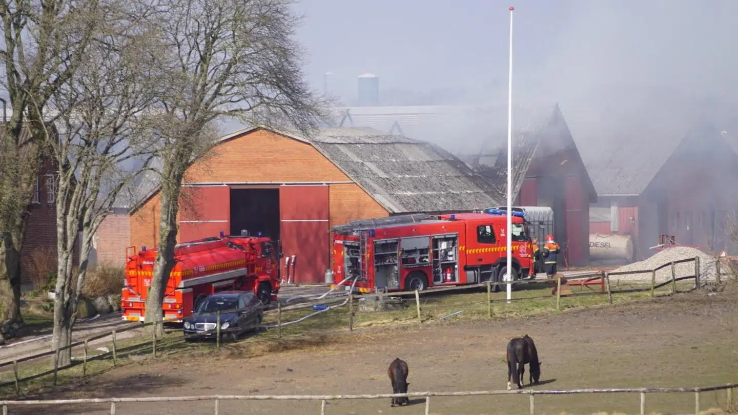 Knap tre timer har Nordjyllands Beredskab indtil videre brugt for at få bugt med en brand, der en overgang truede en større stald med kreaturer.