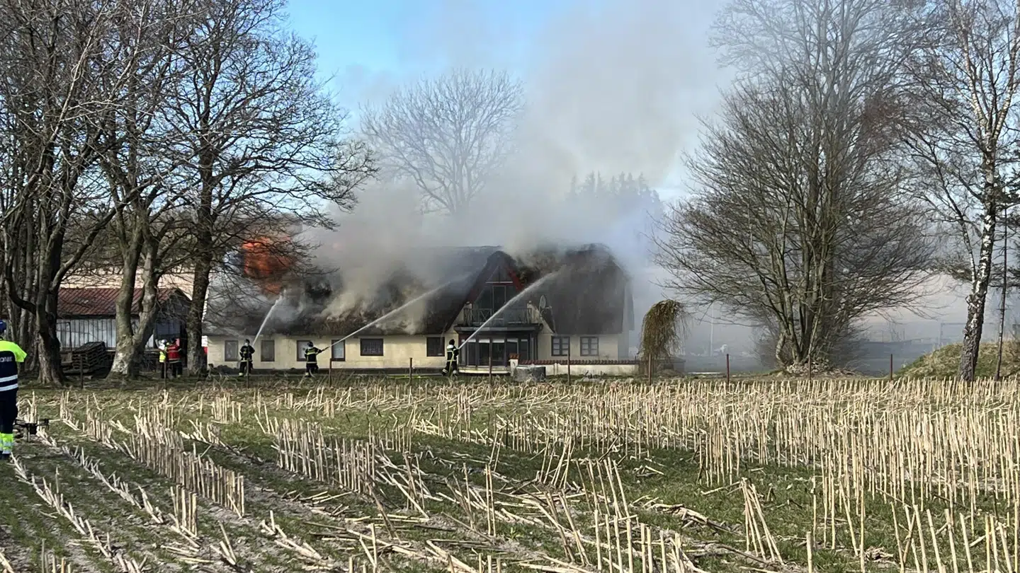 Foto: Presse-fotos.dk