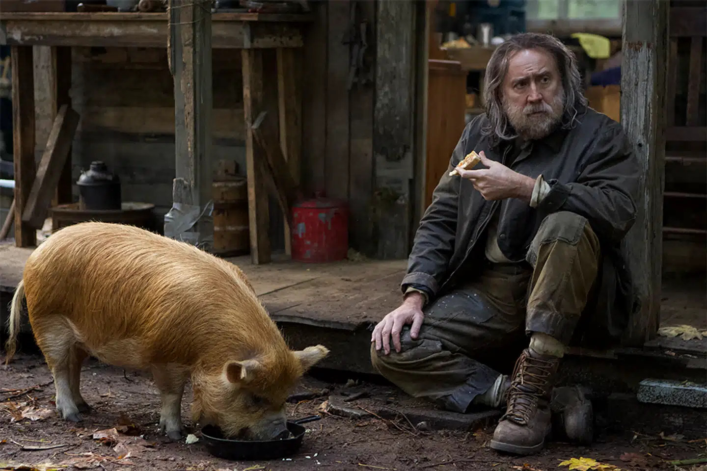 Nicolas Cage (til højre) og gris i »Pig«.