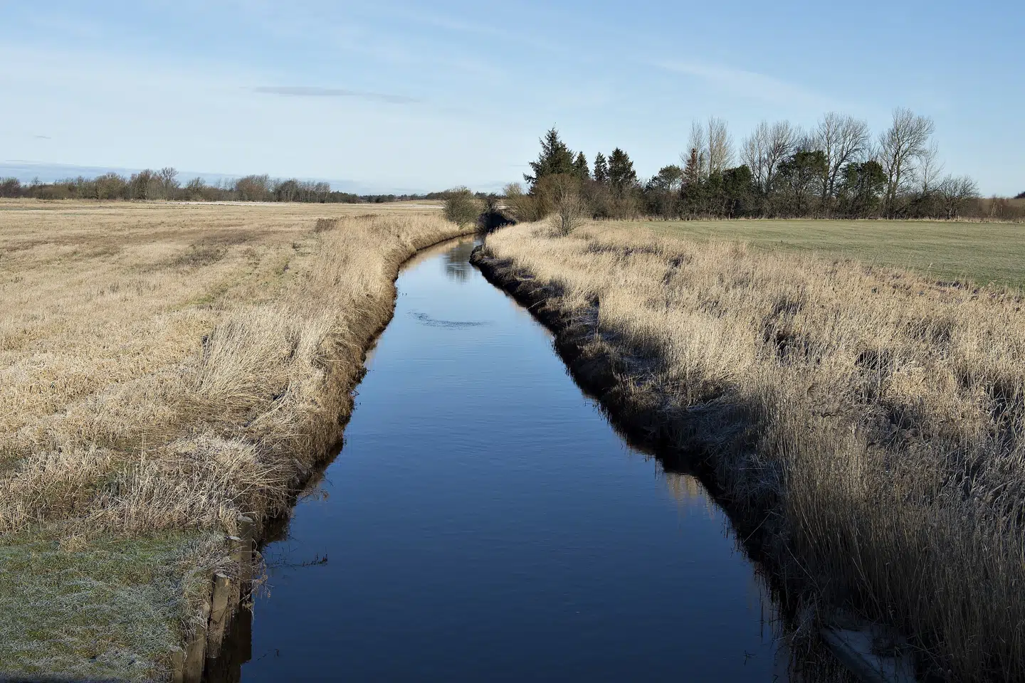 Landbrugets brug af gødning har en effekt på den mængden af kræftfremkaldende nitrat i grundvandet, som ny data viser er et stigende problem. Henning Bagger/Ritzau Scanpix