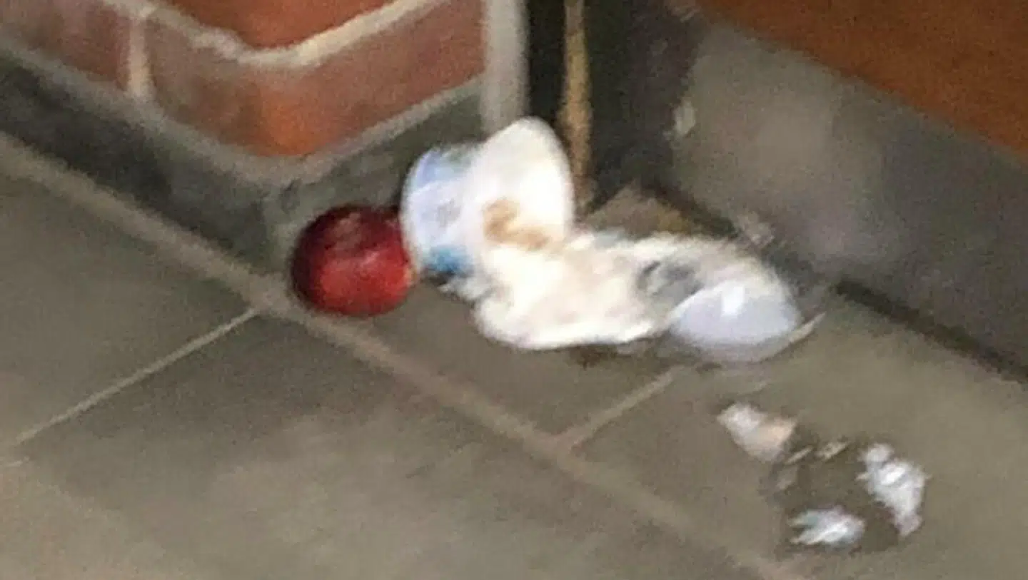 Forældrene på Tranbjergskolens afdeling på Kirketorvet har blandt andet lagt mærke til, at det ofte flyder med madrester og affald.