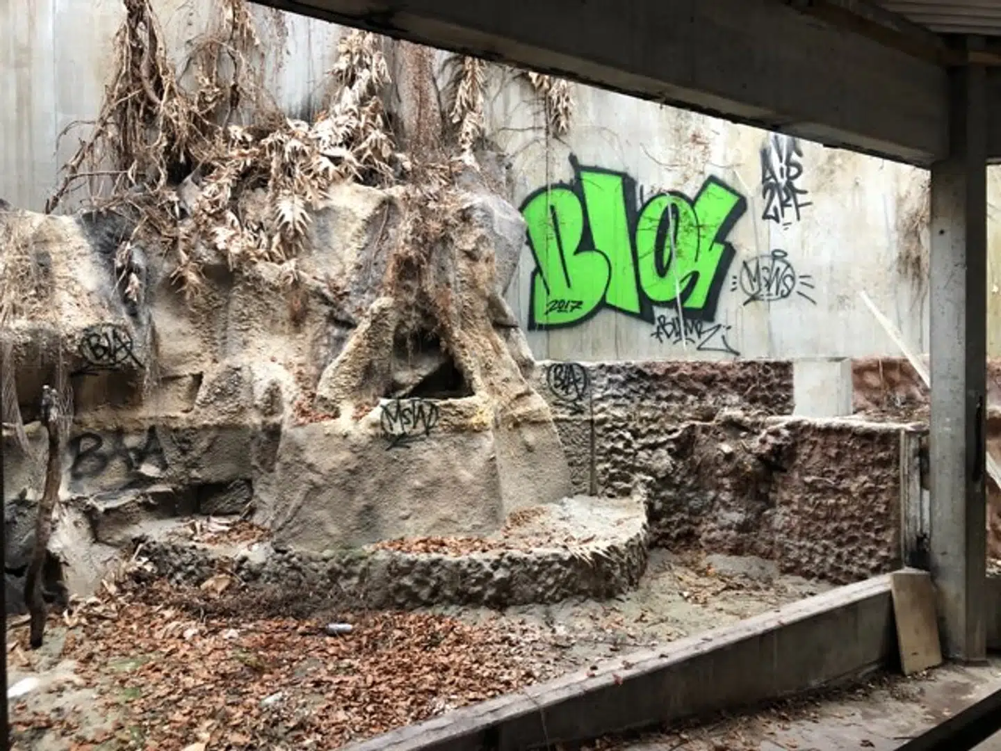 I de gamle tanke er der stadig sten, planter og en smule fiskefoder.