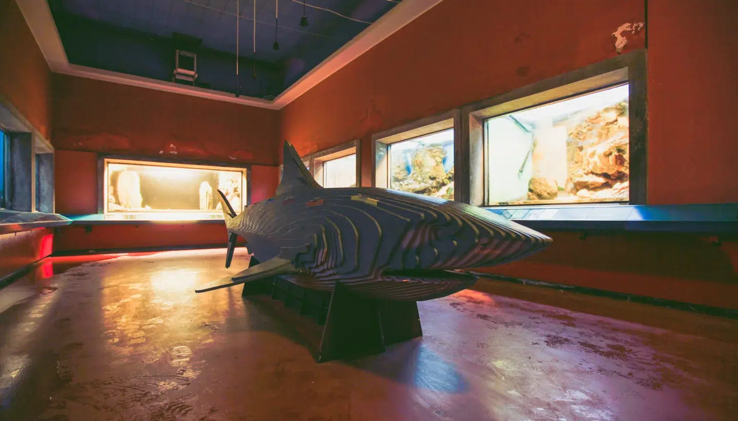 Danmarks Akvarium, januar 2019.