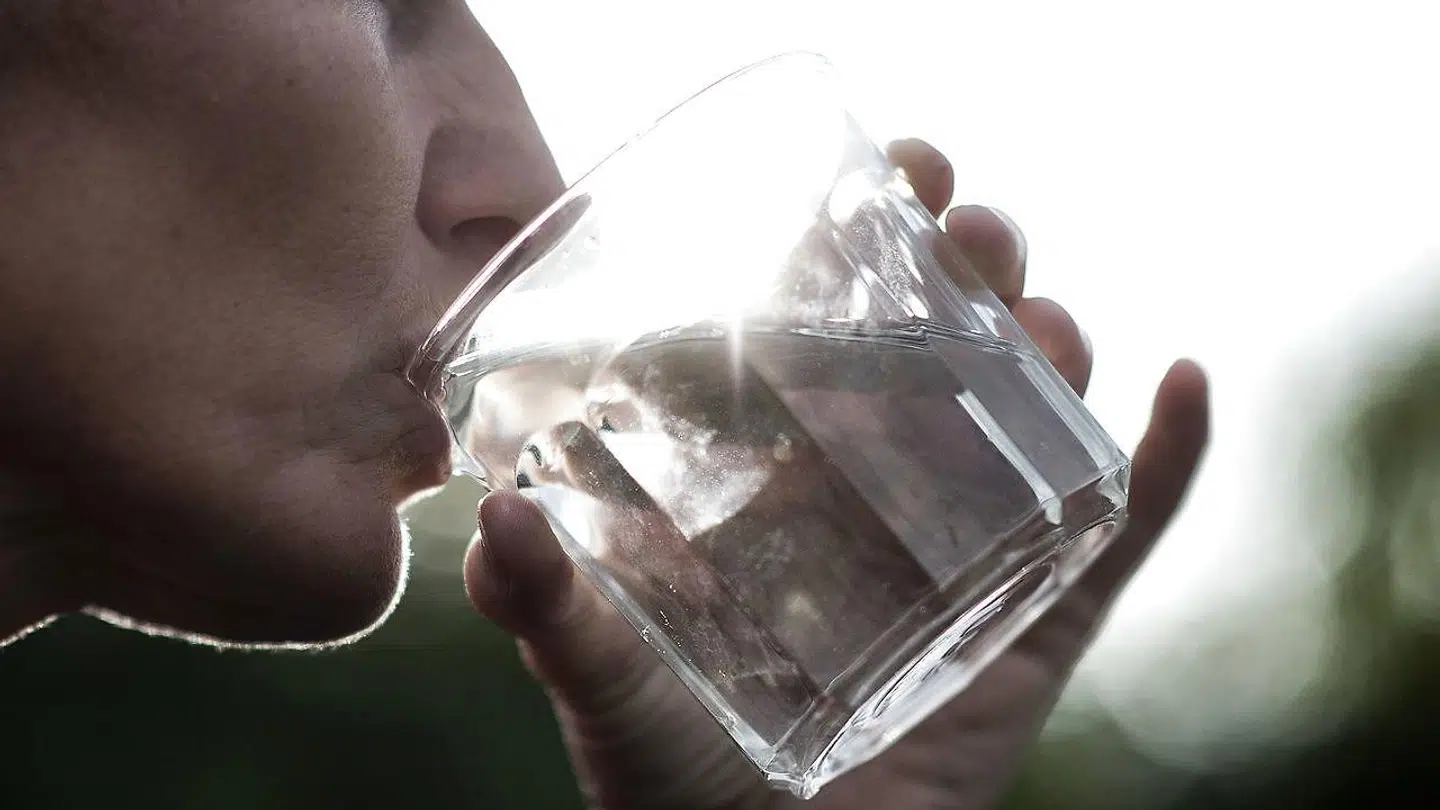 Svampegiften DMS er fundet i drikkevandet hos flere vandværker.