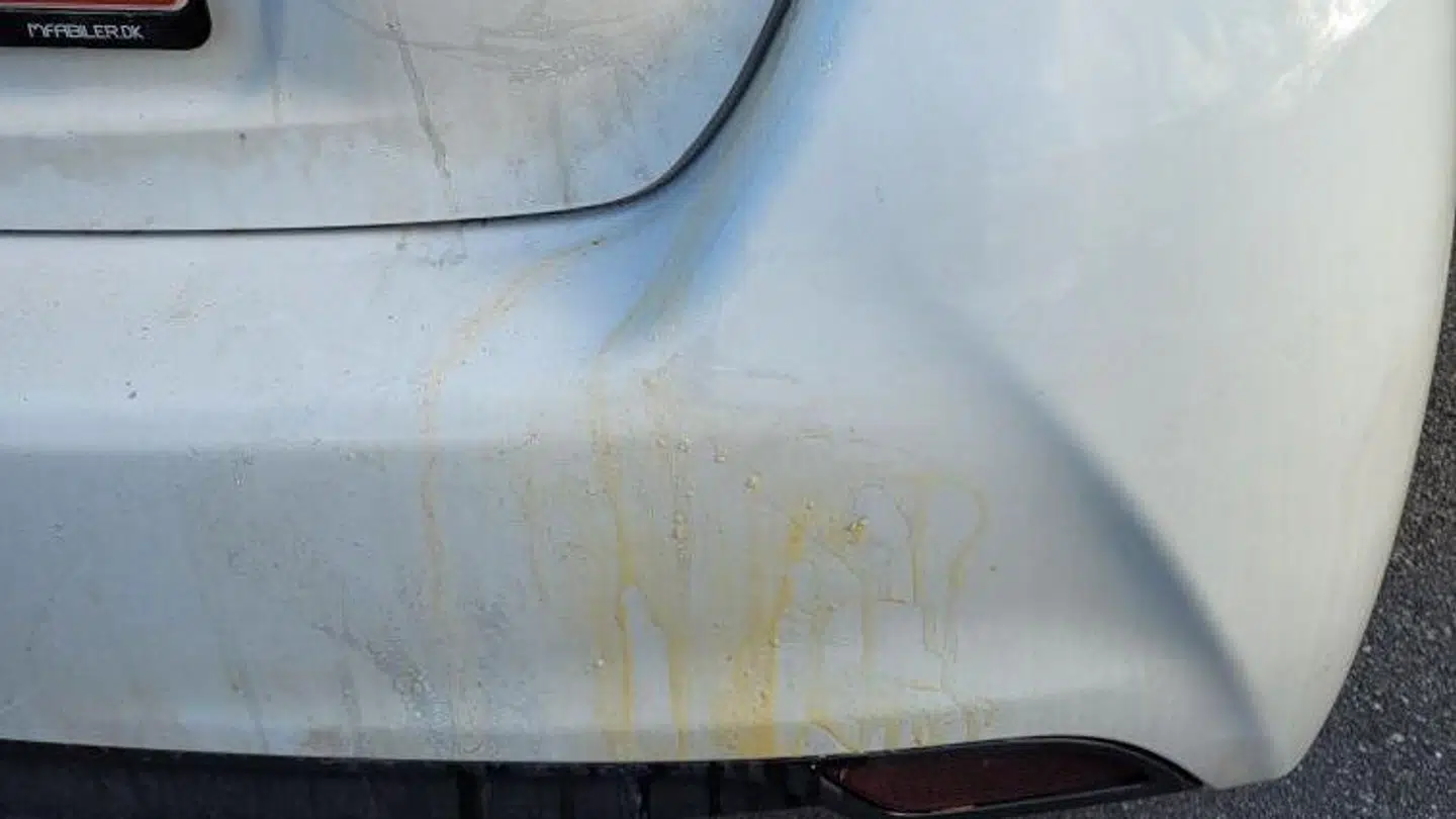 For anden gang inden for et halvt år er Lotte Borg Jensens bil blevet ramt af æg. Et fænomen, som flere borgere har været udsat for i Rynkeby nær Odense.