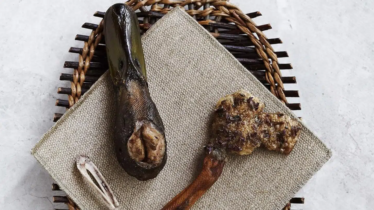 Andehjerne serveret i eget kranie på Noma.
