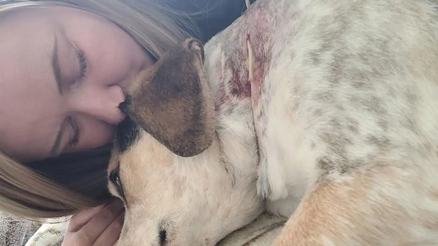 Maja Malycha er endelig genforenet med Bancho – alligevel har hun svært ved kun at glæde sig.