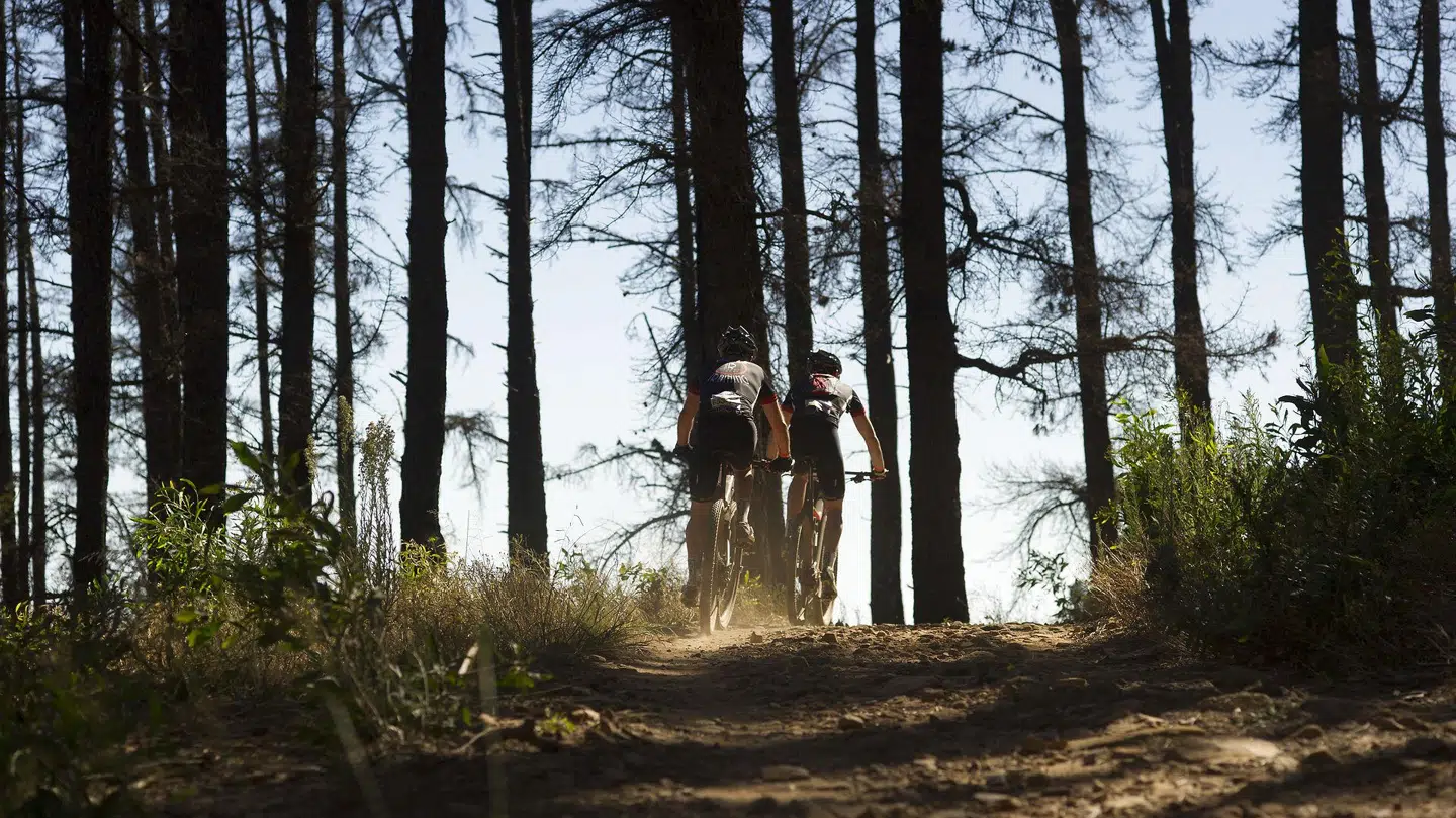 Per er mountainbikerytter og drønede søndag ind i en gruppe mænd, der dyrkede sex.