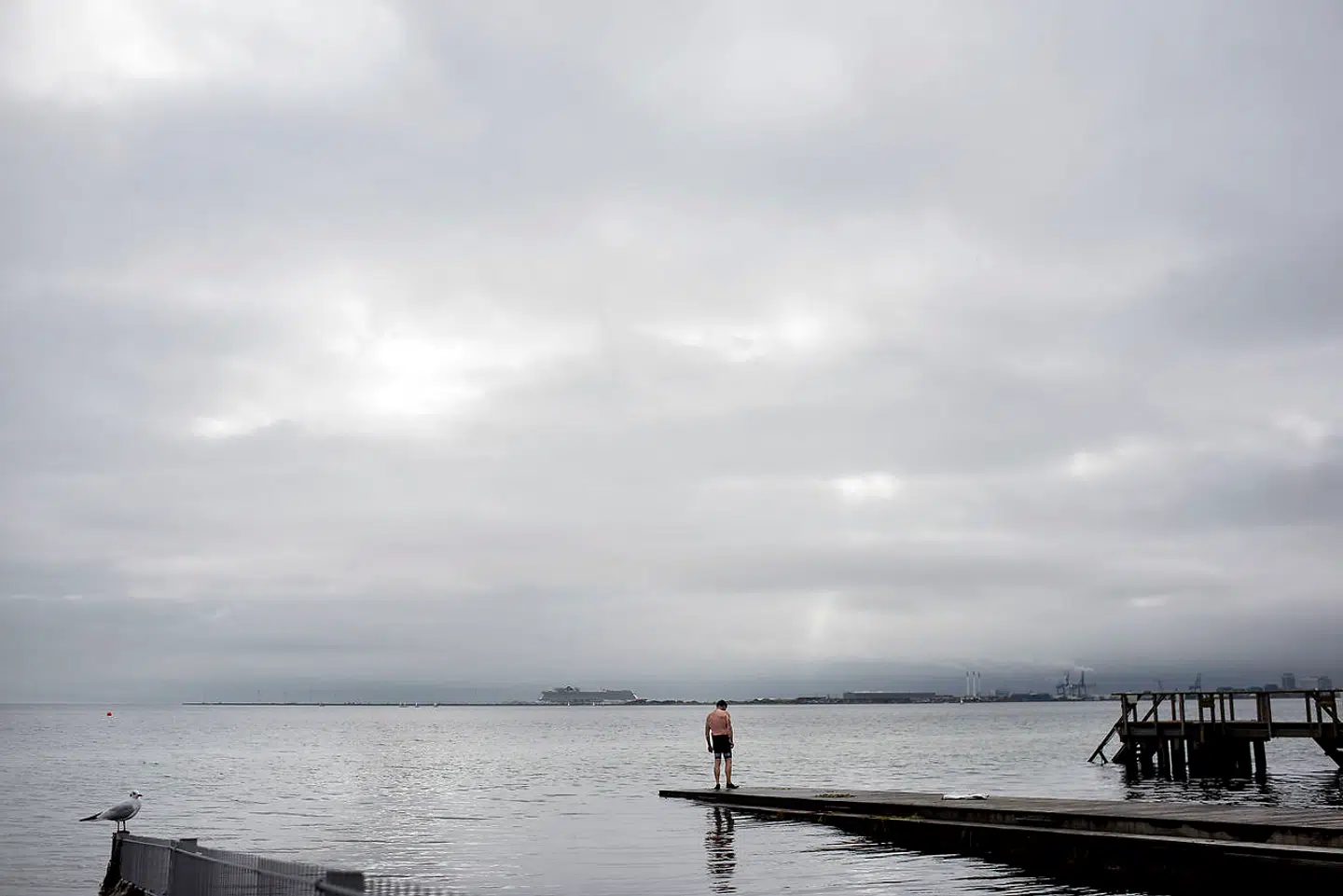 På camping-cafeen på Charlottenlund Fort kan man nyde denne udsigt, mens man drikker supergod kaffe. Og så kan man tale med de udenlandske campister og lade, som om man er på ferie ...