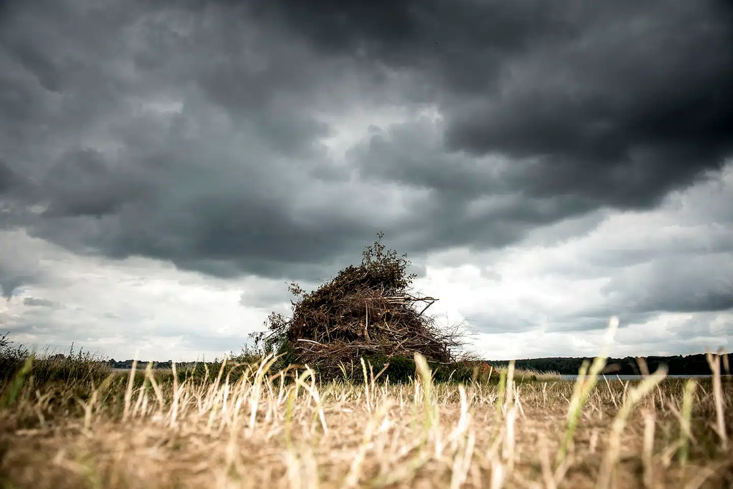 Rekordsommeren 2018, der var så tør, at sankthansbålene blev aflyst, ligesom der i mange uger var grillforbud, var med til at sende klimaforandringerne øverst på vælgernes dagsorden.