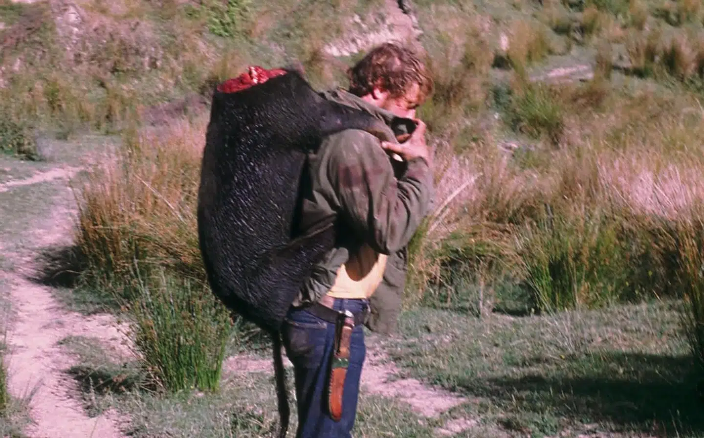 Det var dette foto af Freddy Wulff med et vildsvin på ryggen, der i 1972 sikrede ham jobbet på Ugens Rapport.