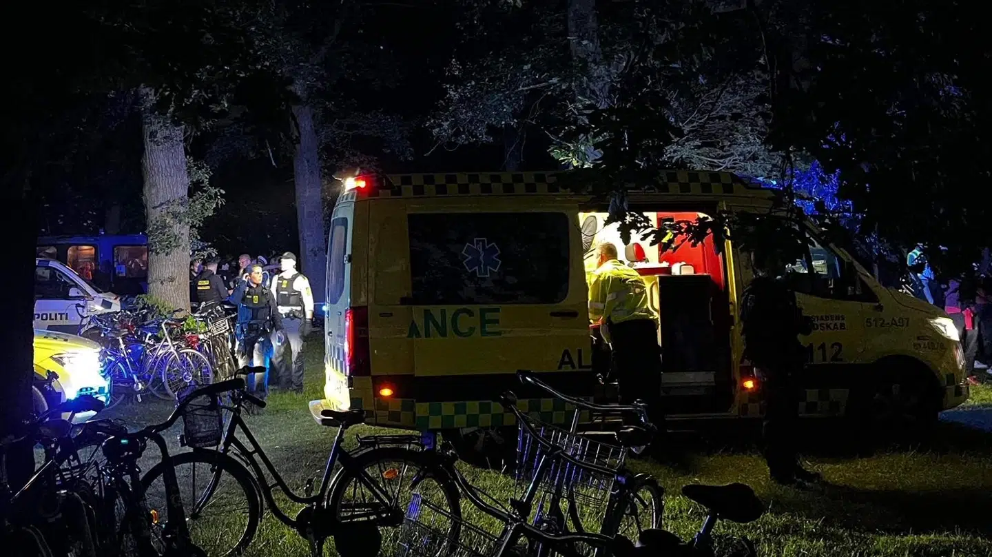 Københavns Politi undersørger flere områder i København. Billedet her er fra Fælledparken. Foto: presse-fotos.dk