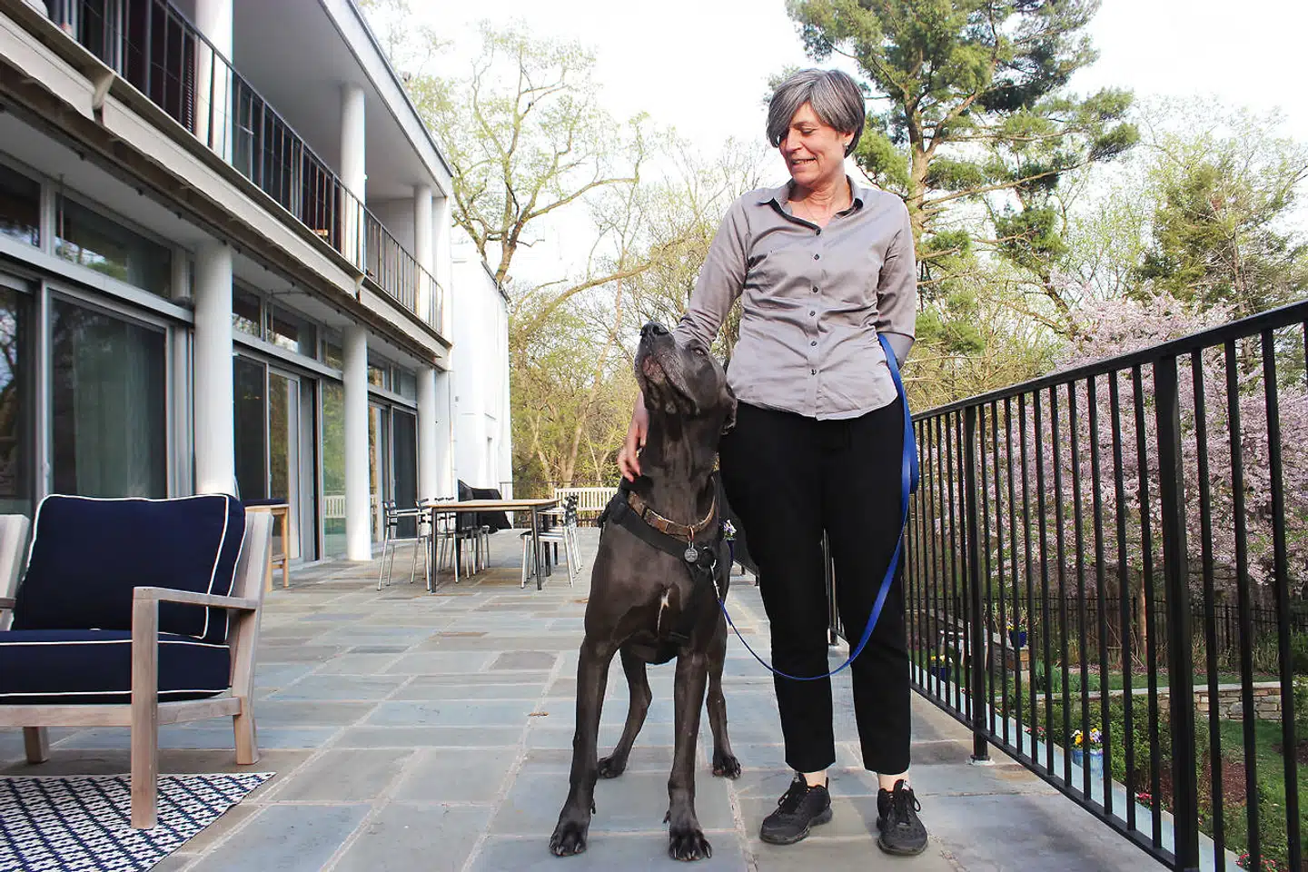 Cæsar er meget kærlig. Her med sin ejer på den danske ambassades balkon i Washington. Lone Dencker Wisborg har altid været vild med hunde, og da hun drog ud som ambassadør første gang i 2011 – dengang til Spanien – havde hun også hunde med fra Danmark.