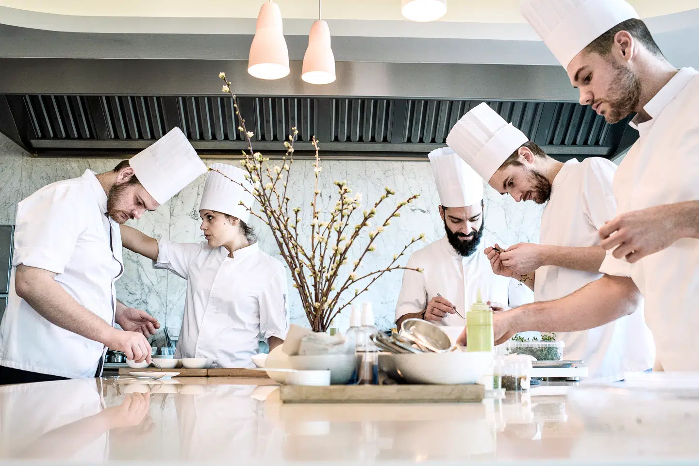 Kokke på Geranium arbejder med samme præcision som et schweizisk urværk.