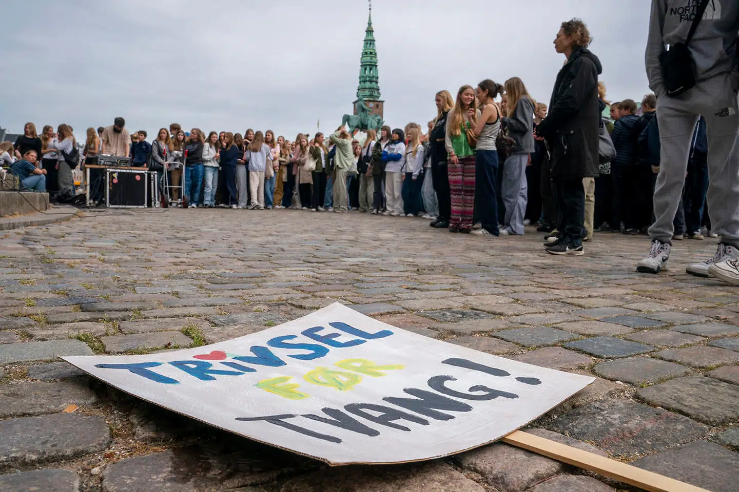 I juni demonstrerede hundredvis af skolebørn foran Christiansborg i protest mod regeringens omdiskuterede fordelingsaftale på landets gymnasier. Blandt de toneangivende ungdomsorganisationer er der delte meninger om aftalen, men en række overordnede betragtninger går igen: De unge føler sig hverken set, hørt eller taget alvorligt af politikerne i Folketinget.