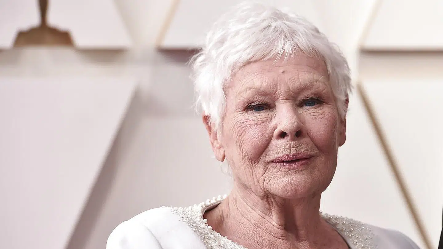 Judi Dench er ikke tilfreds med, at den nye sæson er uden proklamering af, at der er tale om fiktion.