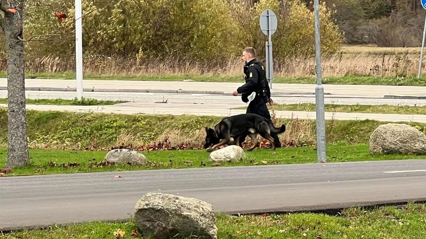 Politiet arbejder med politihunde ved Sandholmlejren, hvor man i morges anholdt en 24-årig mand, der er mistænkt for drabet på en 37-årig kvinde.