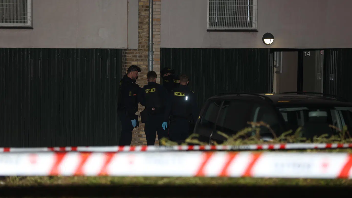 Foto: Mikkel Johansen // Byrd