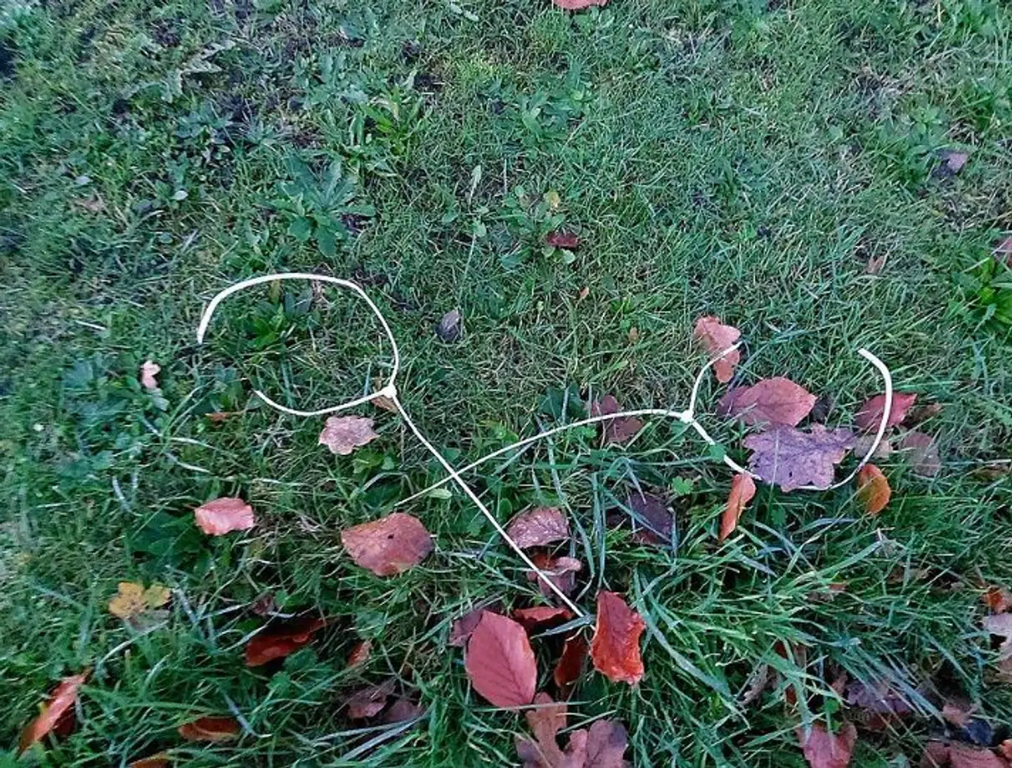 Her kan du se et billede, Finn Hessellund tog på sin gåtur.