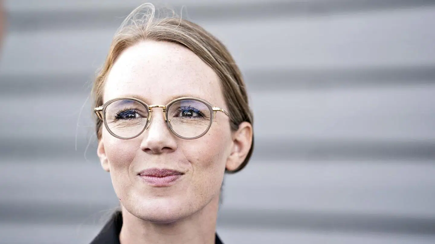 Eksperter kritiserer Miljøministeriet for ikke at registrere formålet med miljøminister Lea Wermelins flyrejser til Bornholm.