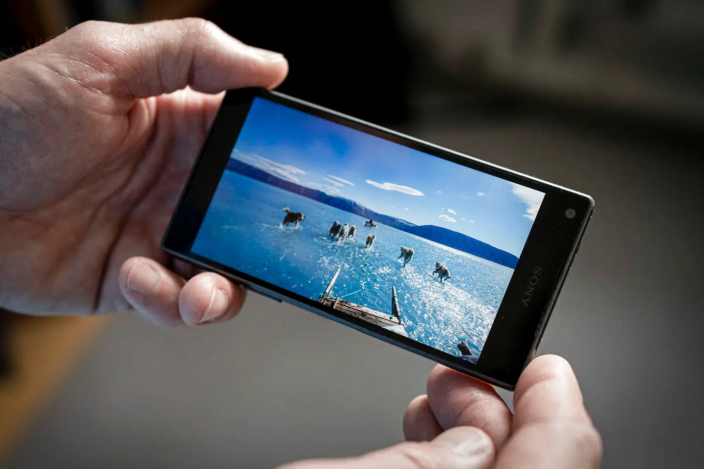 Nogle gange siger et billede mere end tusind ord. Andre gange snyder det. I løbet af den seneste uge er et fotografi af en hundeslæde, der kører gennem smeltevand på en fjord i det nordvestlige Grønland gået verden rundt som eksempel på klimaforandringer. Billedet blev taget af Steffen M. Olsen, PhD hos DMI.