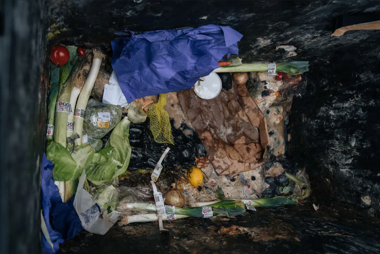 Her ses, hvad der ligger i en skraldespandene ved Netto i Herlev, hvor Rikke Skafte leder efter madskrald mandag morgen sammen med B.T.s reporter. Foto: Kasper Løjtved/ Byrd.