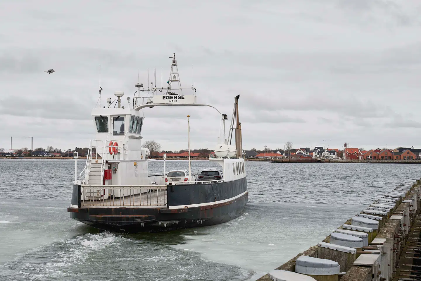Færgen over Limfjorden mellem Egense og Hals blev frastrålet tusind liter diesel i november. Foto: Hans Meineche, Scanpix