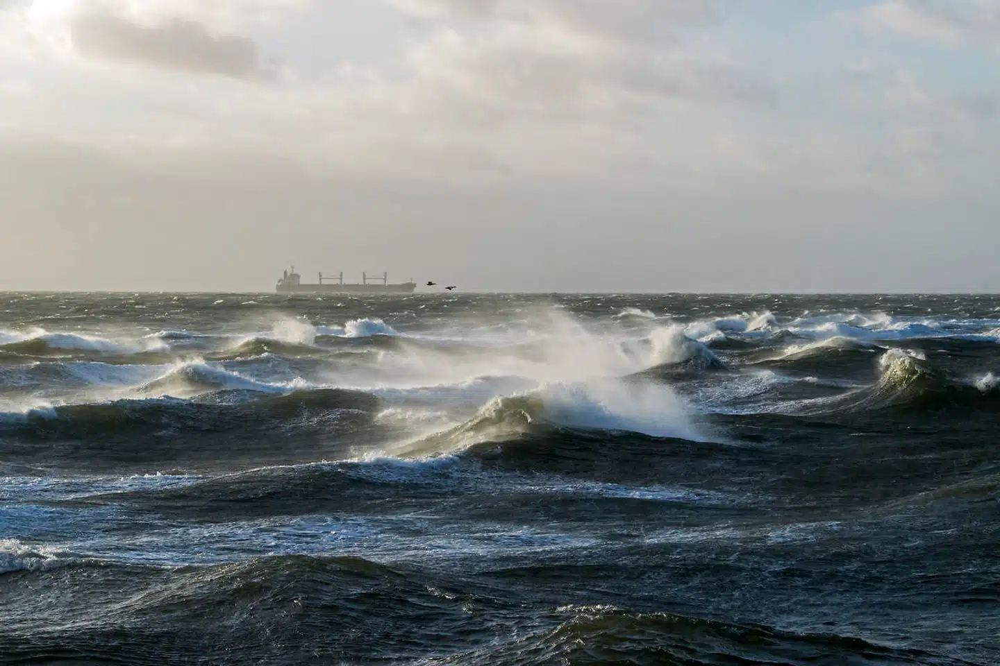Et fragtskib i bølgerne i Storebælt. Det var i dette farvand, at en række fartøjer i oktober pludselig mistede gps-signalet.