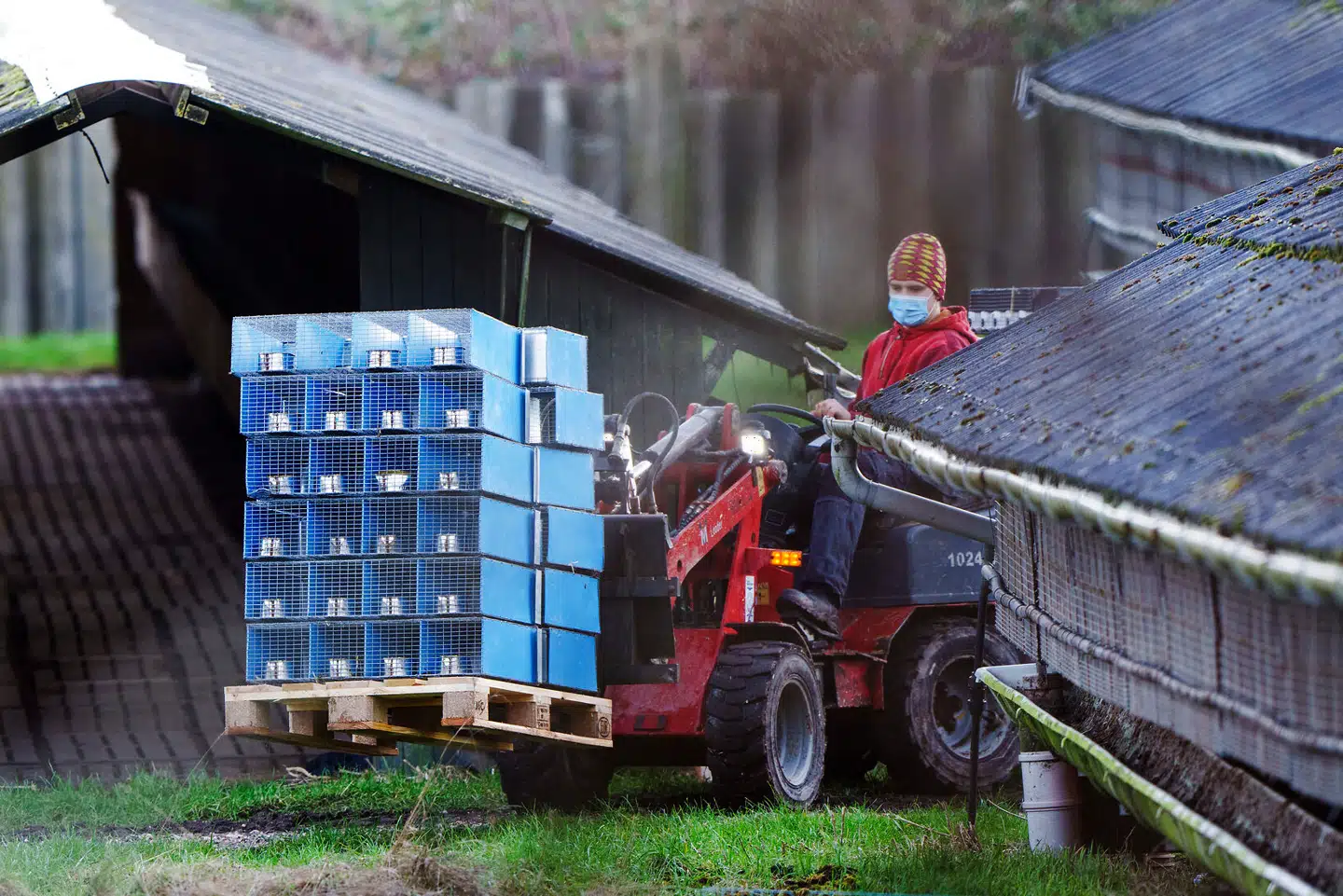 Foto: Bo Amstrup, Scanpix