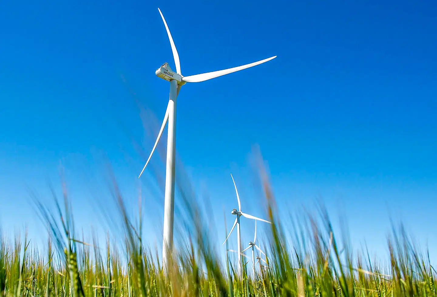 Den danske pensionsbranche investerer i dag fem gange så meget i grøn energi som i fossile energikilder. Siden 2014 er de samlede investeringer i grøn energi mere end fordoblet til over 100 mia. kr. - og den udvikling forventes at fortsætte, skriver Pernille Weiss.