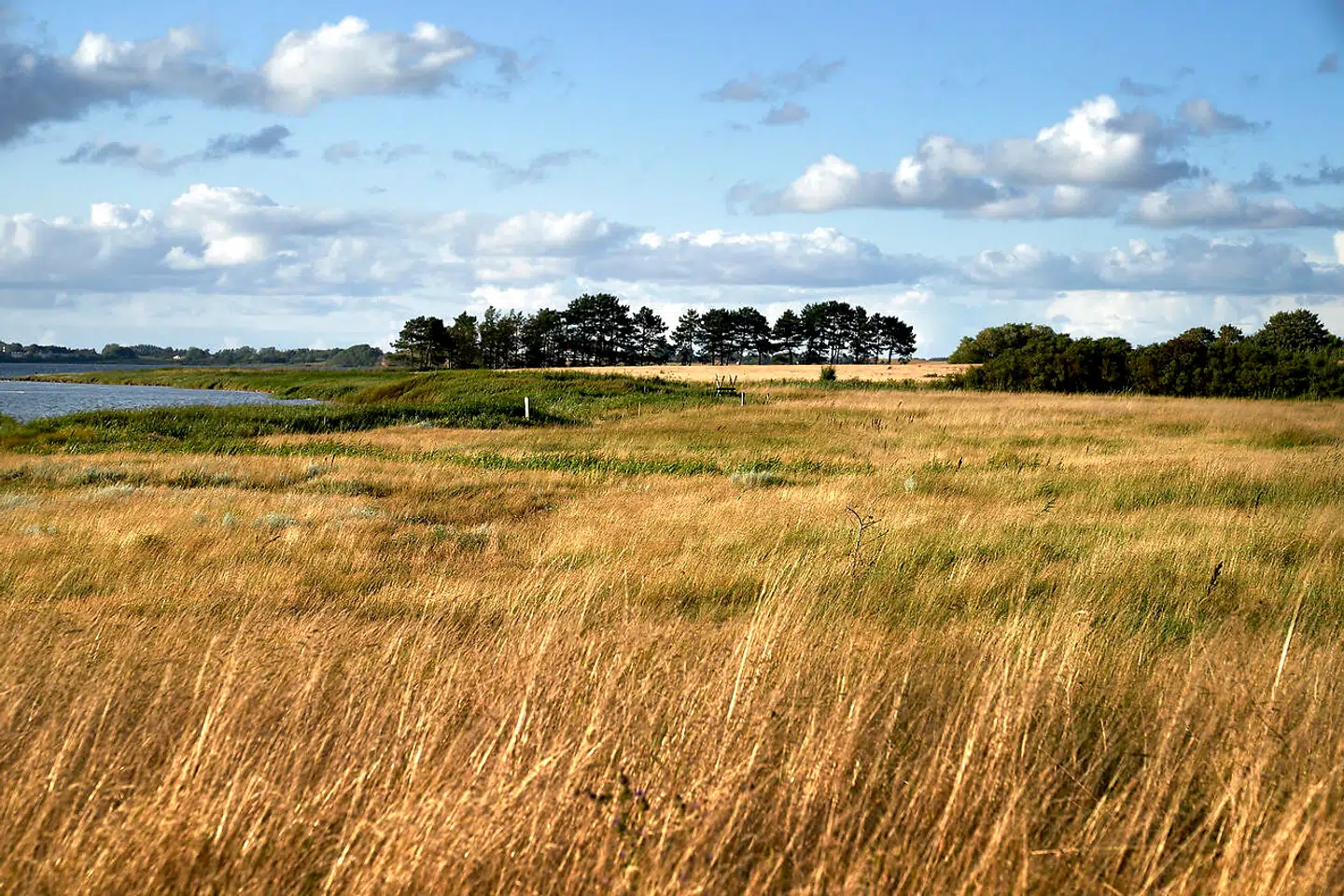 Det sundhedsskadelige fluorstof PFOS, det mest kendte af PFAS-stofferne, kom for alvor i myndighedernes søgelys, efter at over 100 børn og voksne i Korsør fik målt store mængder af stoffet i blodet. Alle havde de spist kød fra kvæg forgiftet med stoffet.
