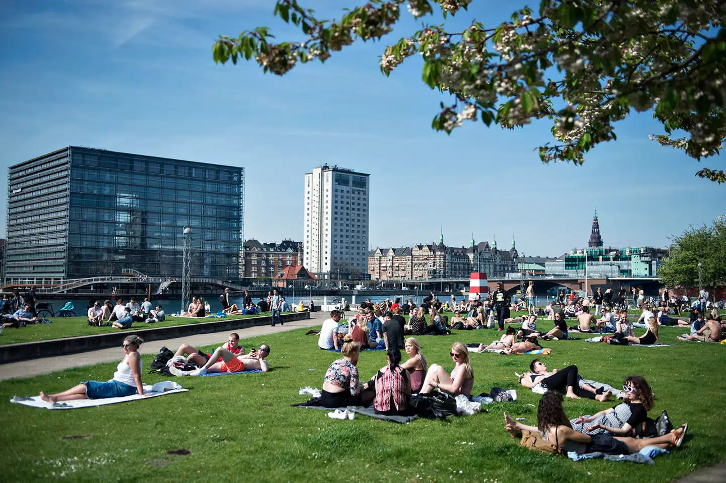 I en ny undersøgelse blandt københavnere angiver mere end en femtedel, at de mener allerede i dag at være påvirket af klimaforandringerne.