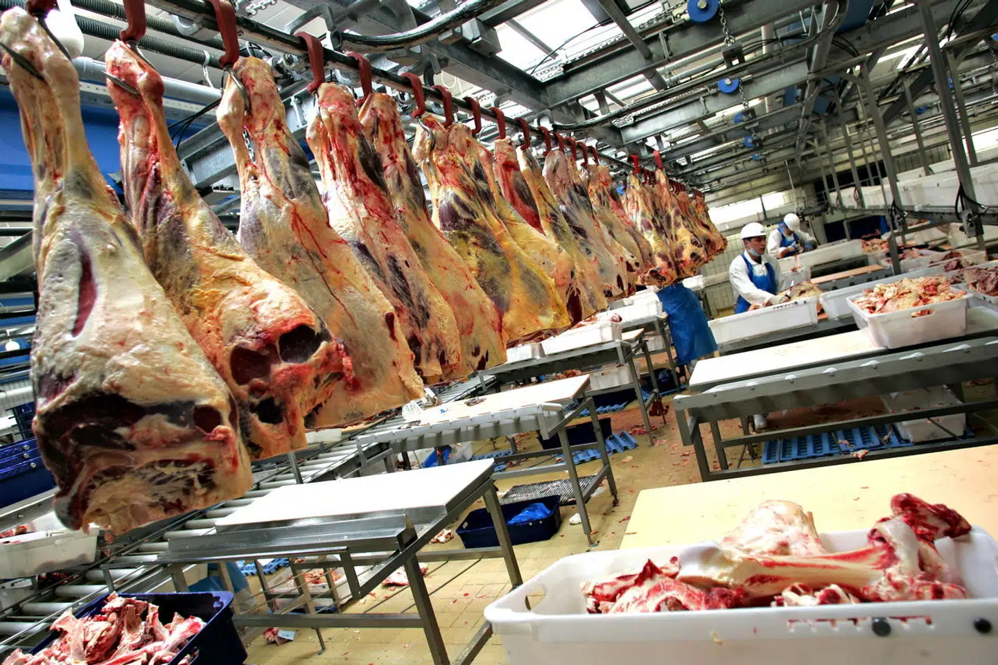 Slagterivirksomheden Skare Meat Packers har indgivet en konkursbegæring, fortæller tillidsrepræsentant Gunner Herman Straarup til TV SYD. (Arkivfoto)