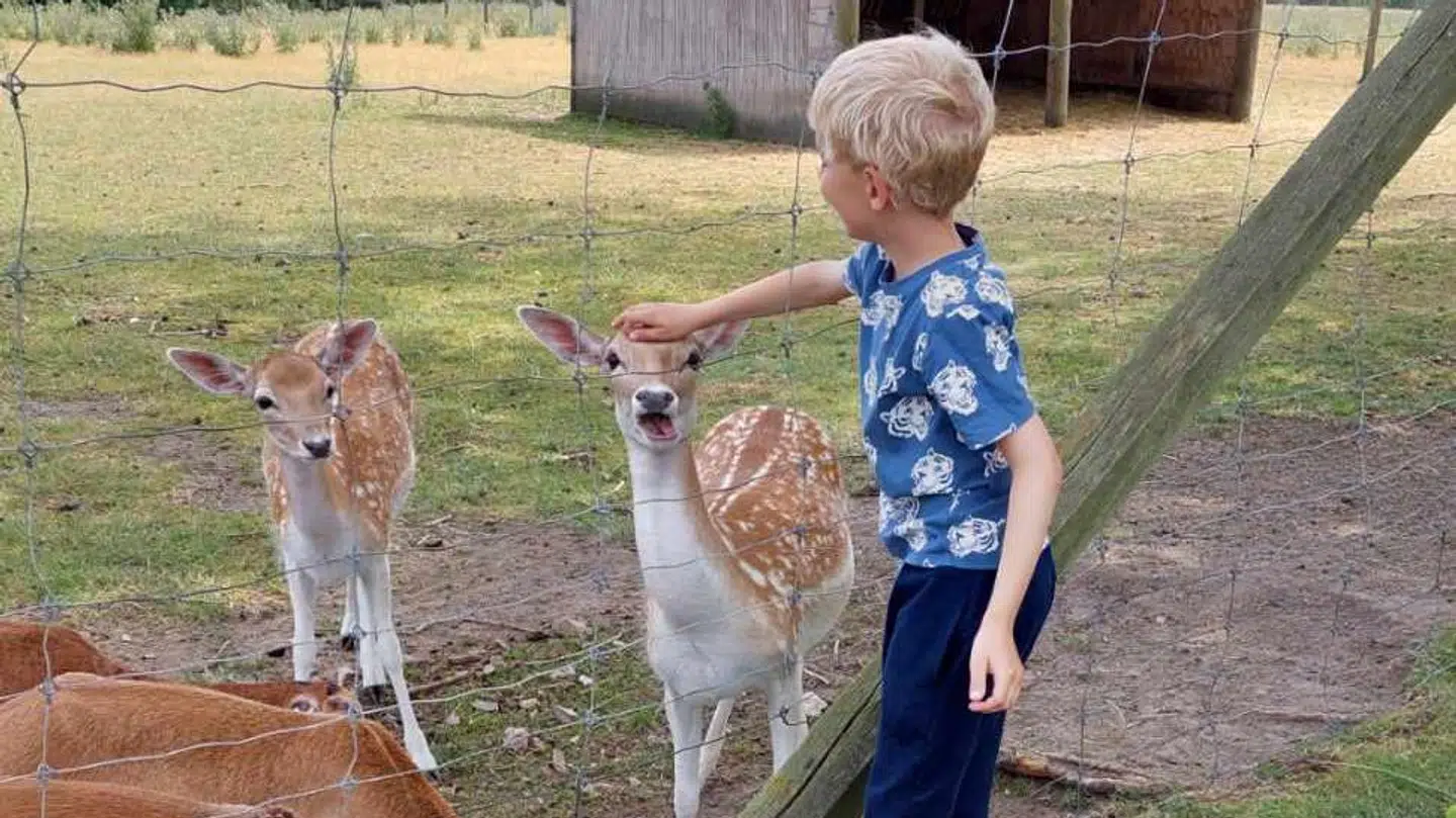Otteårige Ryan en sommerdag. Ryan vil ikke længere køre med kommunens specialkørselsfirma HB-Care, efter han har været ude for nogle ubehagelige episoder, fortæller hans mor.