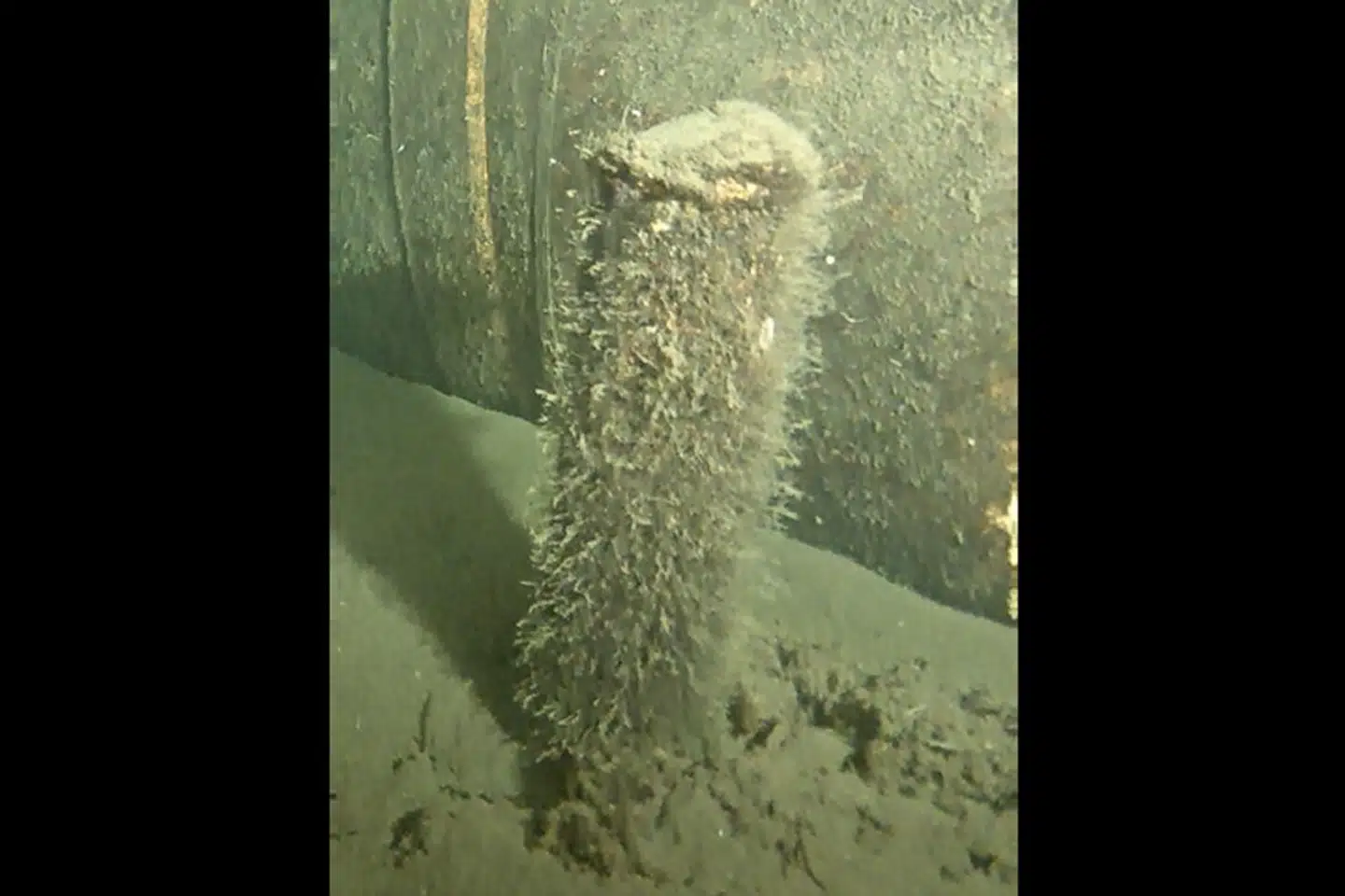 Energistyrelsen har i en pressemeddelelse delt dette billede, som viser et cylinderformet objekt, der er blevet fundet ved Nord Stream 2-rørledningen. Foto: Forsvarsministeriet