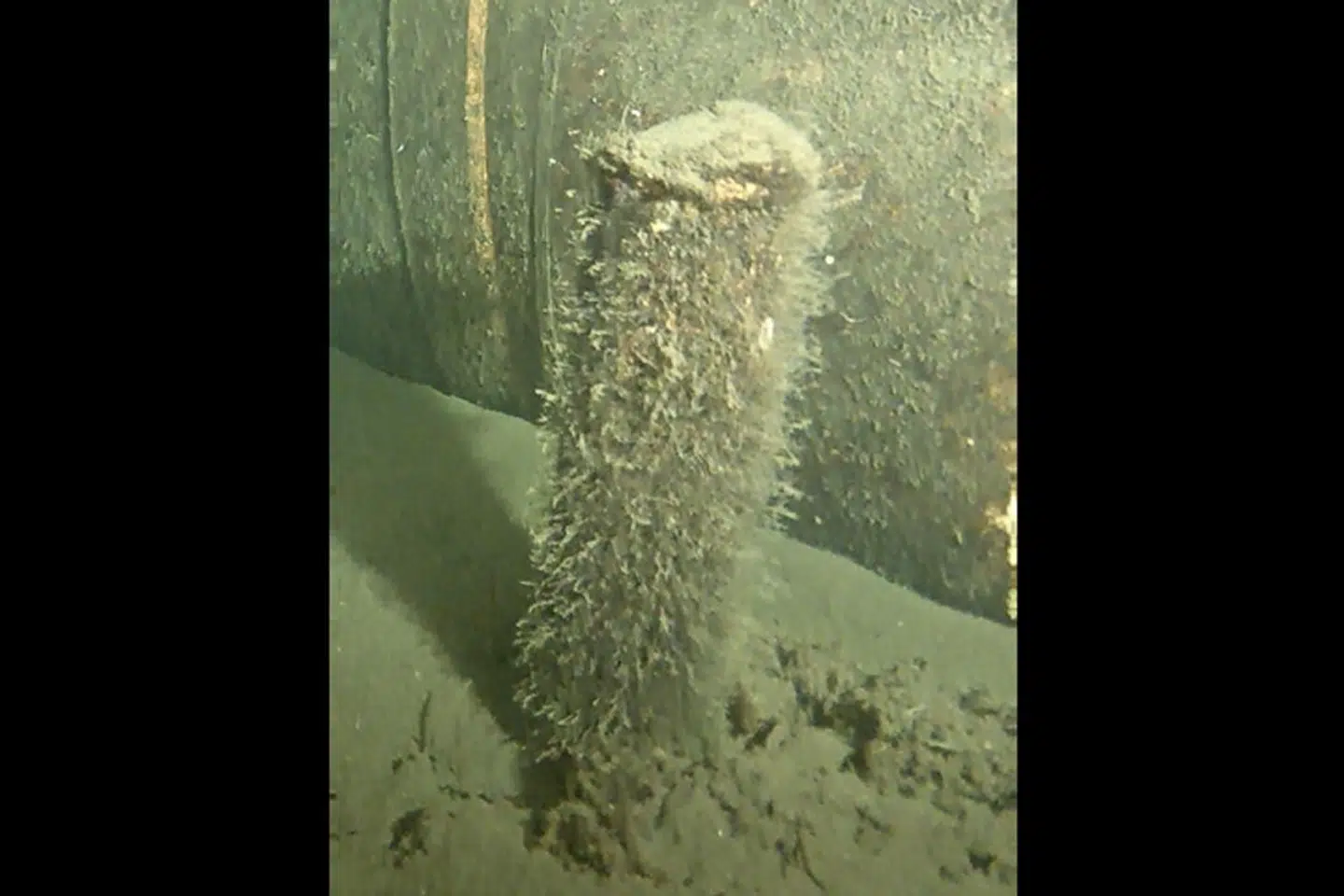 Energistyrelsen har i en pressemeddelelse delt dette billede, som viser et cylinderformet objekt, der er blevet fundet ved Nord Stream 2-rørledningen. Foto: Forsvarsministeriet