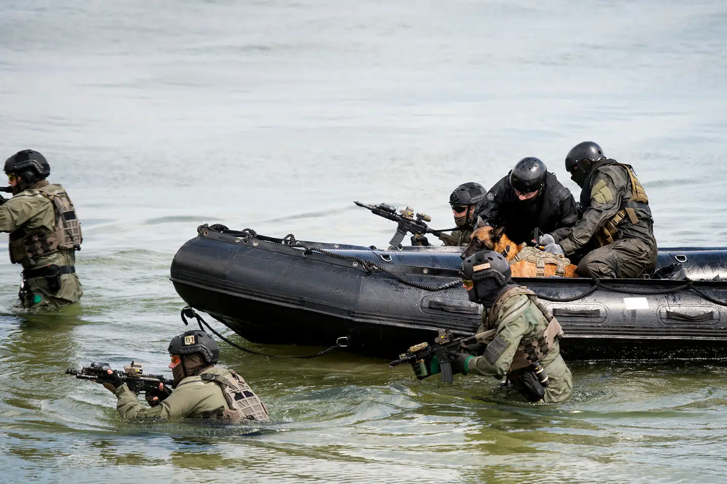 I 2017 blev Frømandskorpsets 60-års jubilæum markeret på Marinestation Kongsøre.