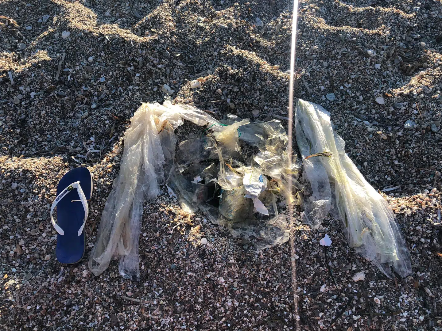 William fik samlet en del skrald på stranden. Til sammenligning oplyser han, at sandalen er en størelse 46.