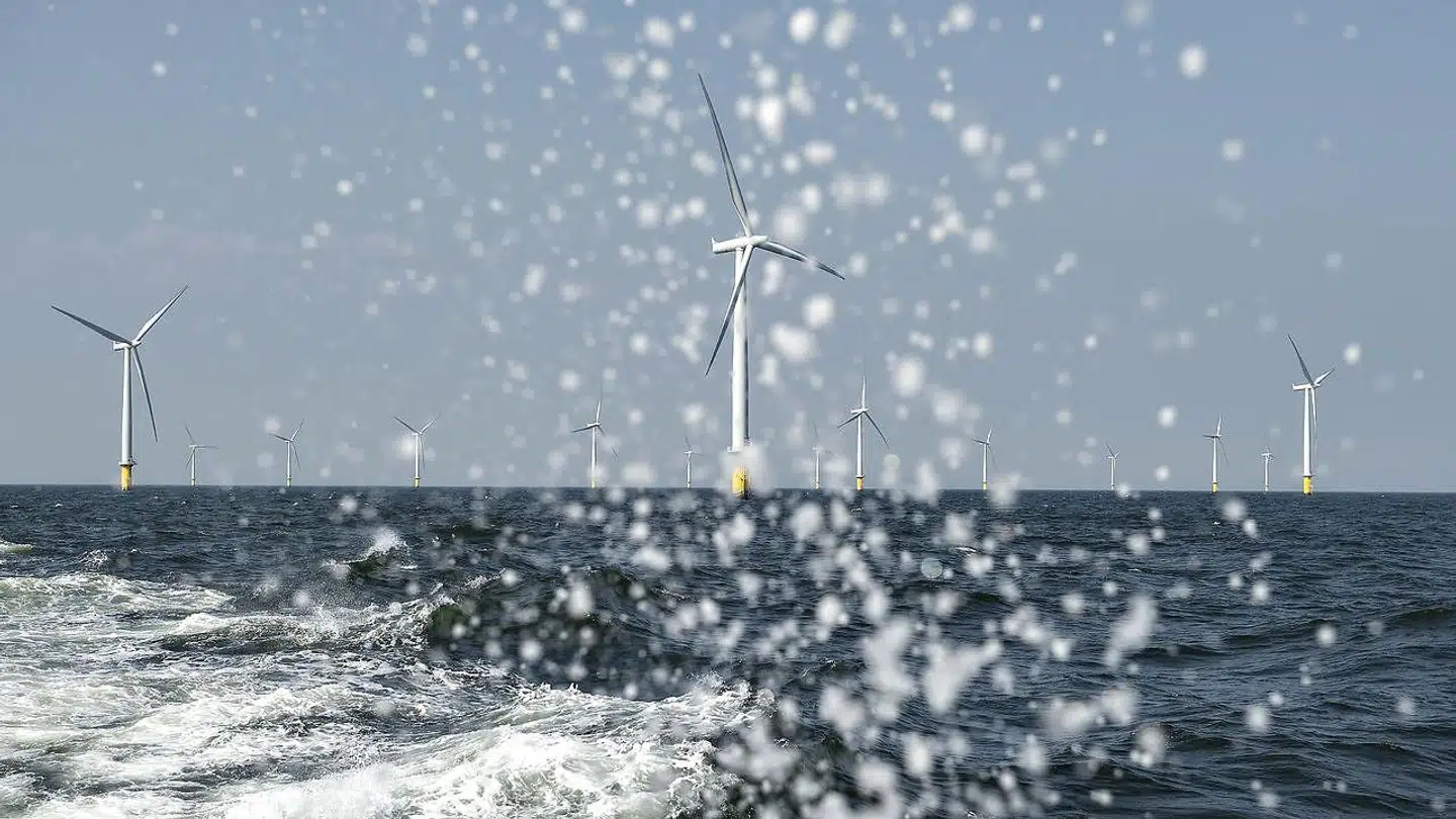 Flere delstater på især USAs østkyst har fuld fart på store satsninger med havmølleparker, der gør op med forestillingen om, at landet med Donald Trump i spidsen vender ryggen til vedvarende energi. Her den danske havvindpark Horns Rev 2 i Nordsøen ud for Esbjerg.