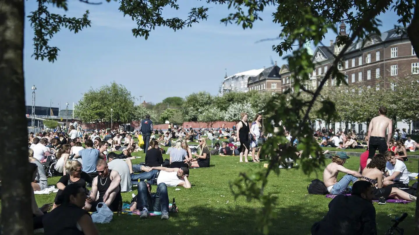 De mange mennesker, der flokkes til Islands Brygge om sommeren, bliver ofte hængende til langt ud på natten med store højtalere – til stor gene for nogle af beboerne. Foto: Ida Guldbæk Arentsen/Scanpix 2017
