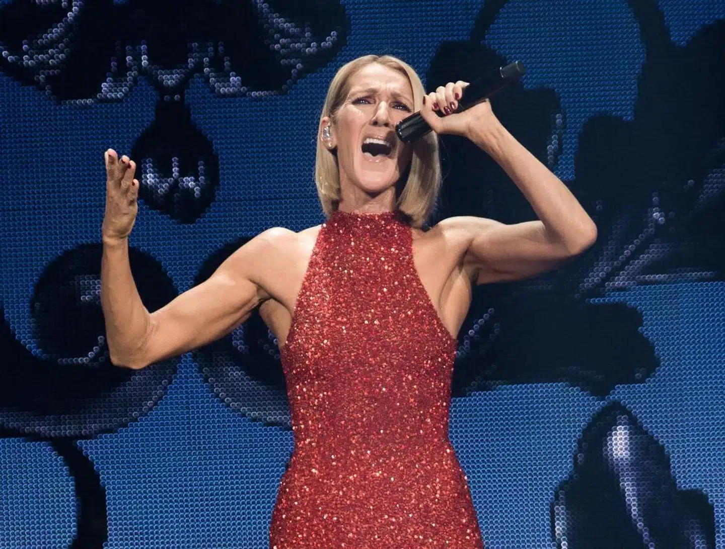 Celine Dion på scenen i 2019. I 2022 måtte hun aflyse en række koncerter på grund af helbredsproblemer. Nu er hun klar med ny musik produceret til filmen 'Love Again'. Foto Alice Chiche / AFP.