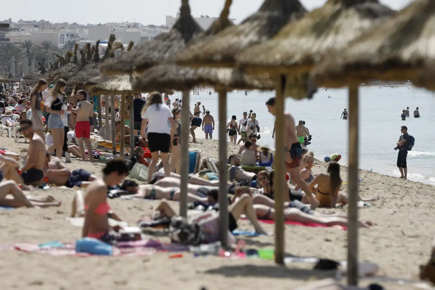 Den spanske ferieø Mallorca og de græske øer, der blandt andet tæller Rhodos og Kreta, er efter corona stadig blandt de mest populære feriemål hos rejseselskabet Spies, når turen går sydpå. (Arkivfoto). Clara Margais/Ritzau Scanpix