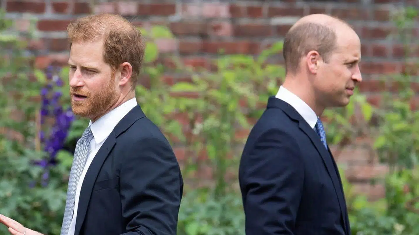 Prins Harry og prins William.