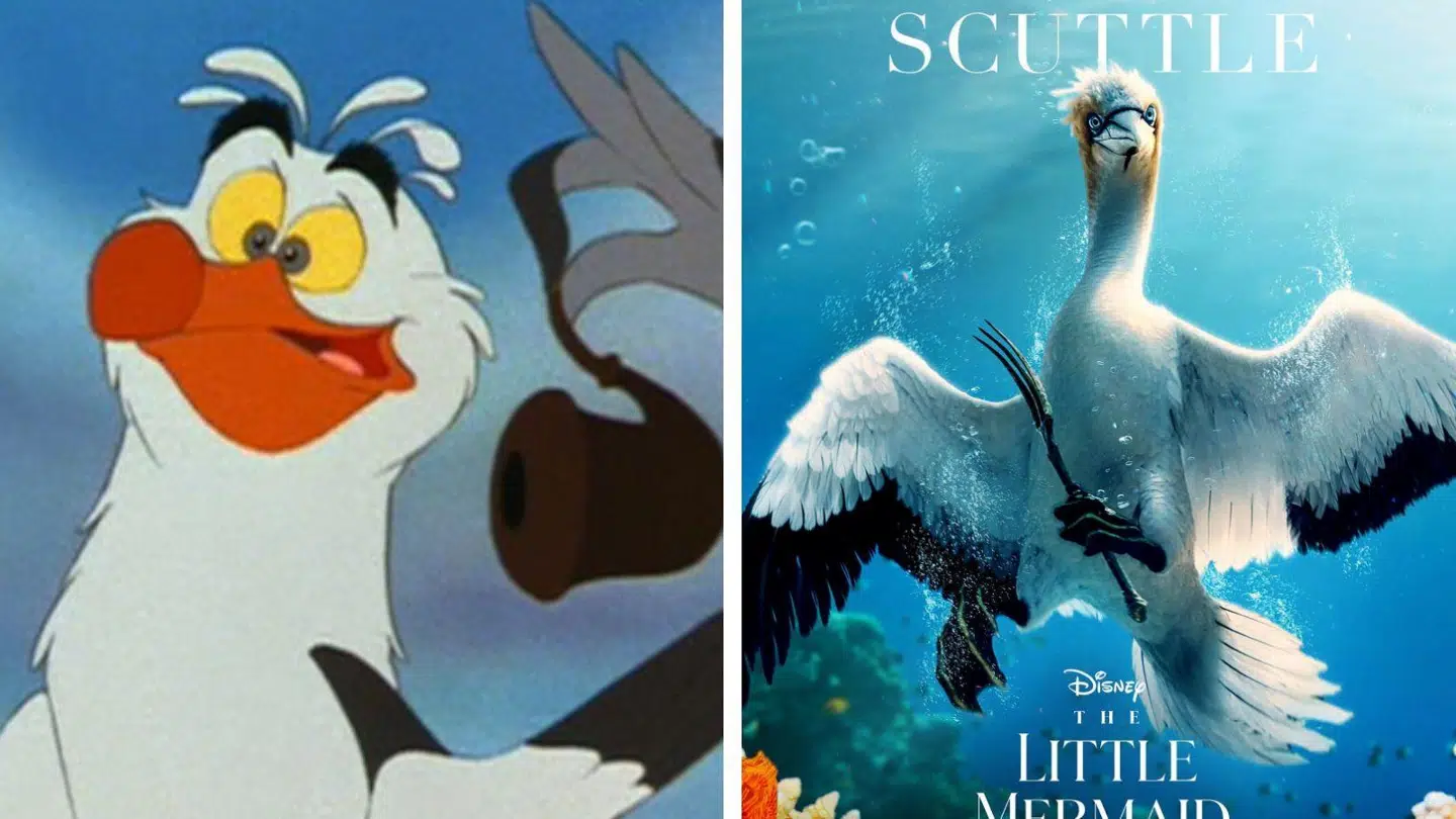 Mågen i den originale film fra 1989 og i 2023-versionen.