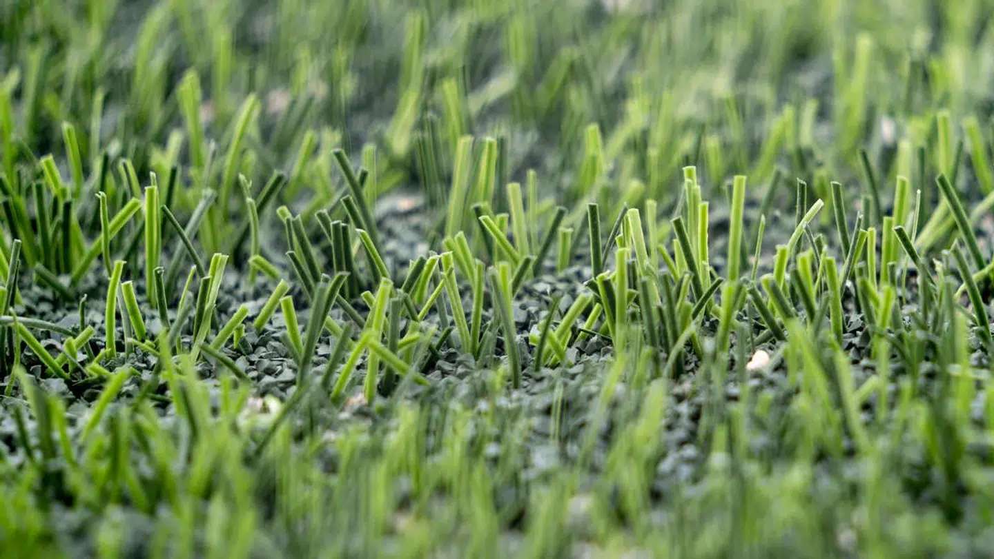 Kunstgræsbaner går en usikker fremtid i møde.